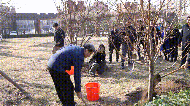 6.gif