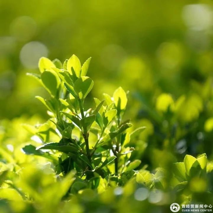 微信图片_20241211164749.jpg