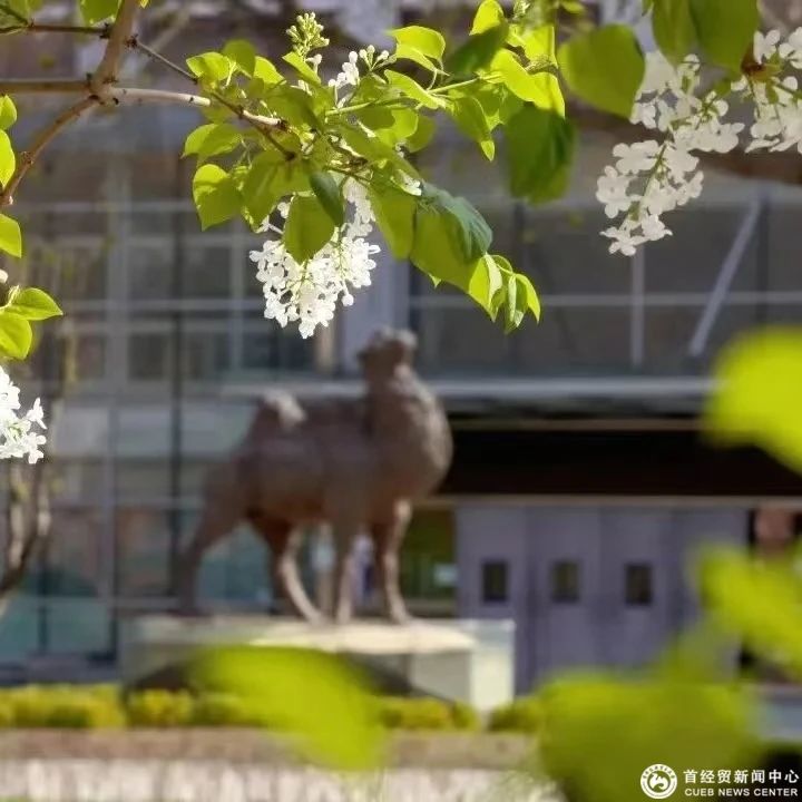 微信图片_20241211164757.jpg