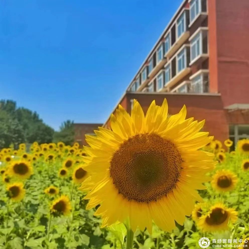 微信图片_20241211164646.jpg